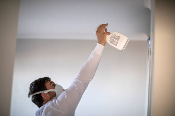 Best Insurance-Related Mold Remediation in Brockport, NY